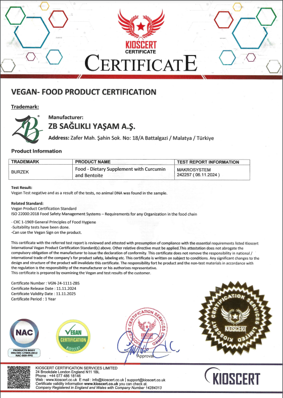 zb-saglikli-yasam-vegan-resim.png