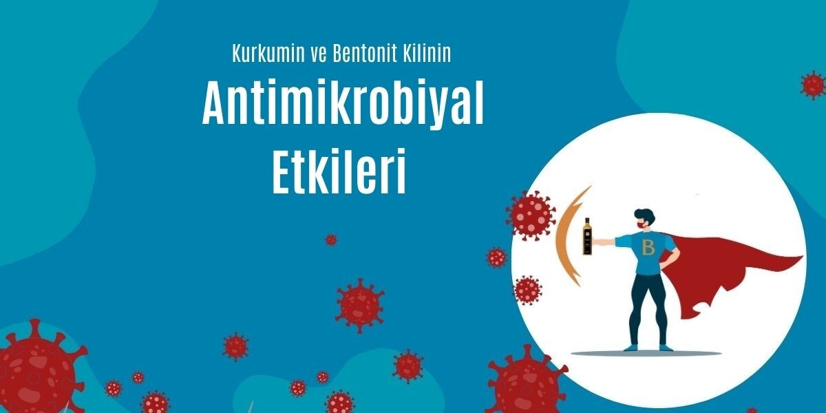 Kurkuminin ve Bentonit Kilinin Antimikrobiyal Etkileri ve Bilimsel Yayınlar