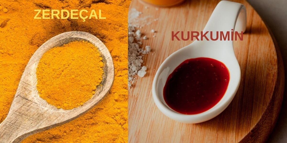 Kurkumin Nedir?